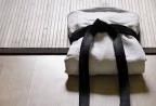Avatar de judoka