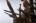Avatar de 13thWarrior 